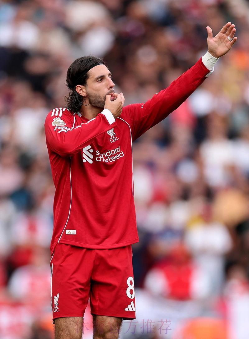 前利物浦球员亨克兹称阿坎吉是红军理想引援